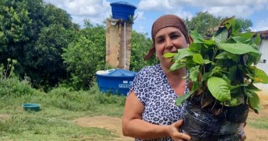 Prefeitura de Muniz Ferreira Distribui Mudas em Parceria com Governo do Estado e Biofábrica da Bahia